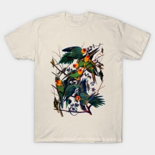 John J. Audubon Carolina Parakeet T-Shirt